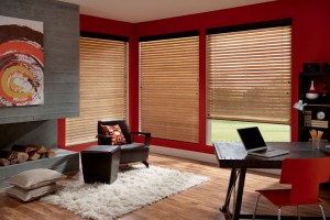 Horizontal Blinds