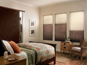 Horizontal Blinds